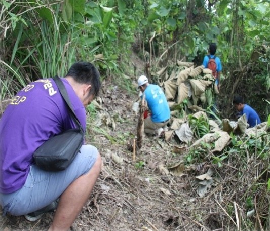 Upland Reforestation